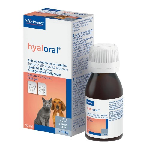 HYALORAL GEL ORALE 50ML