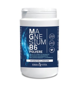 MAGNESIUM B6 POLV 200G