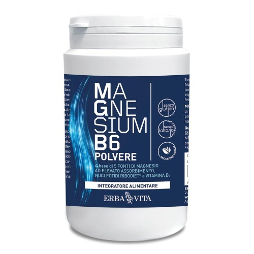 MAGNESIUM B6 POLV 200G