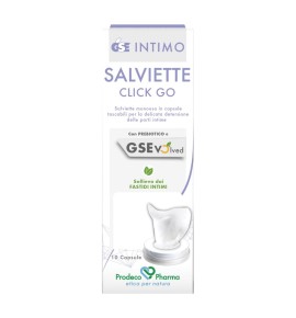 GSE INTIMO SALVIETTE CLICK GO