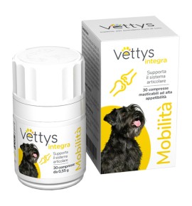 VETTYS INTEGRA MOBILITA' CANE