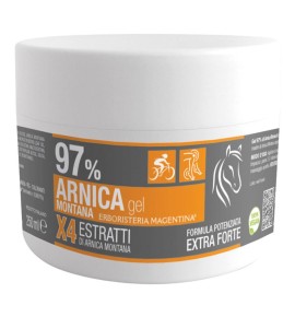 ARNICA 97% GEL 250ML ERB MAGENTI