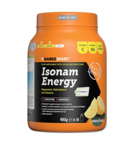 ISONAM ENERGY LEMON 480G