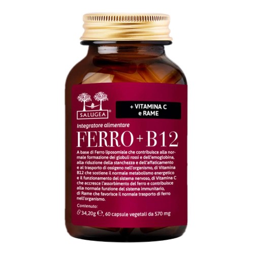 FERRO+B12 SALUGEA 60CPS